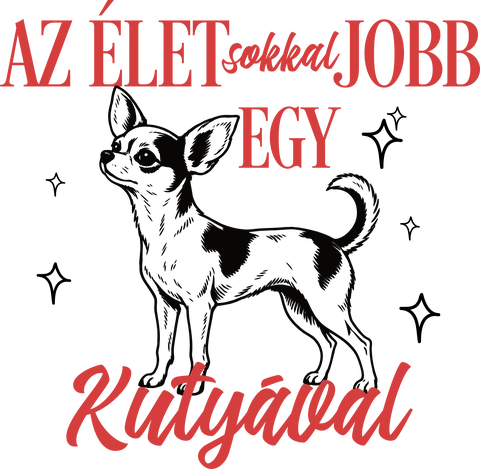 Az élet sokkal jobb egy csivavával