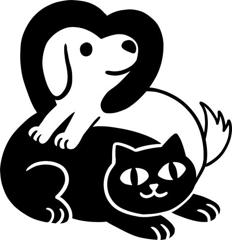 Kutya cica barátság