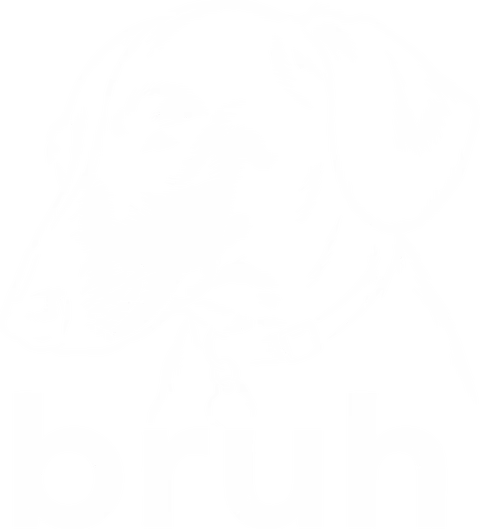 Bruh - Tacskó