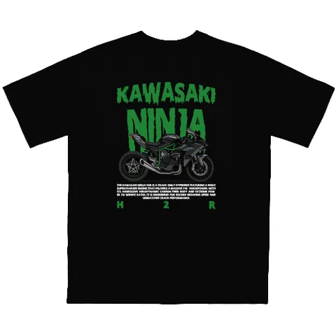 Kawasaki ninja
