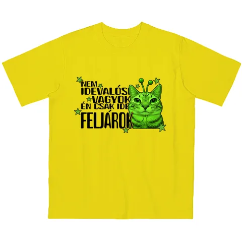 Nem idevalósi vagyok