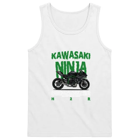Kawasaki ninja