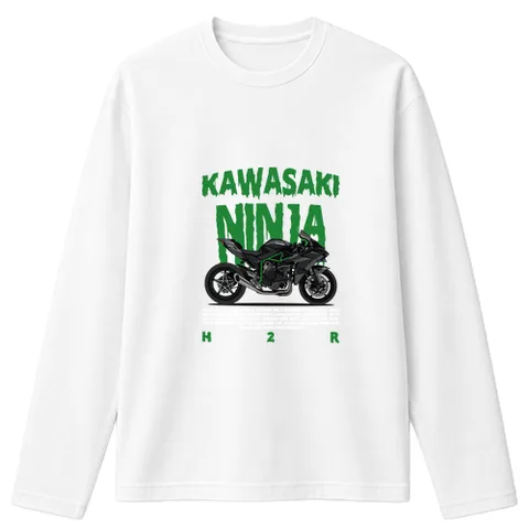 Kawasaki ninja