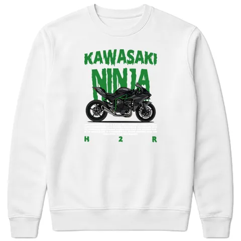 Kawasaki ninja