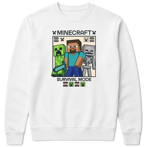 Minecraft survival mode