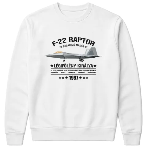 F-22 Raptor