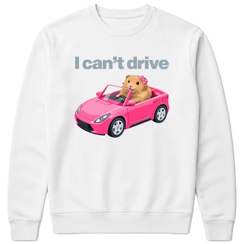 I can't drive